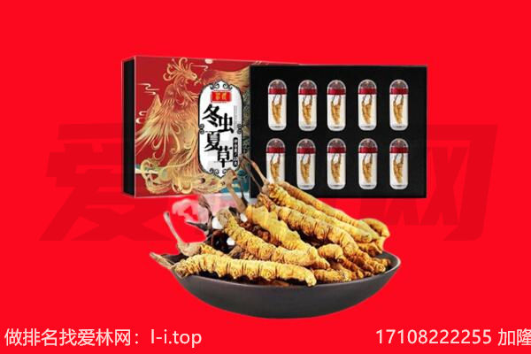 玉溪市新平回收虫草.jpg